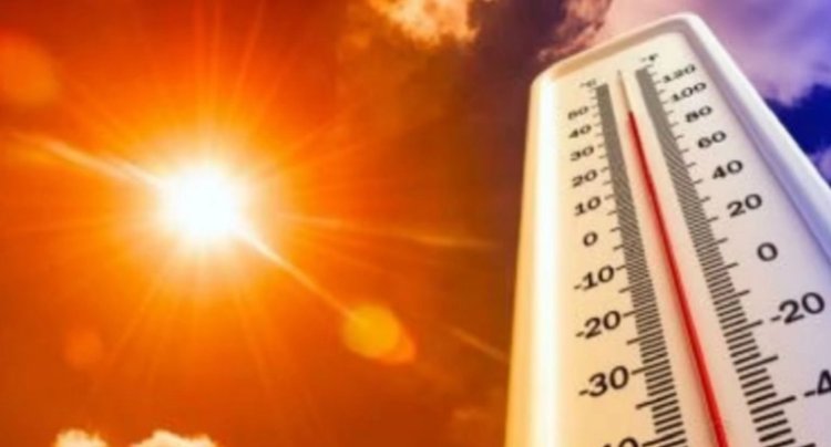 देश में भीषण गर्मी और लू का कहर तेज, दुनिया के 100 सबसे गर्म शहरों में 95 भारत के